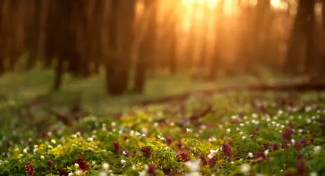Слънчево и приятно време днес, влошава се в неделя