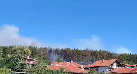 Над 50 декара борова гора и още толкова царевични ниви горят край Николово