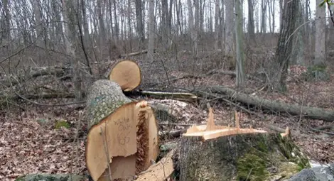 Двама горски пребити от бракониери 