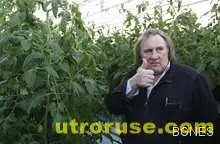 Име: Жерар Депардийо, местожителство: Саранск Име: Жерар Депардийо, местожителство: Саранск