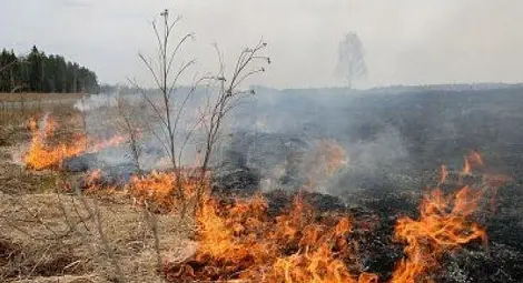 Екипи на пожарната са гасили 13 пожара през уикенда