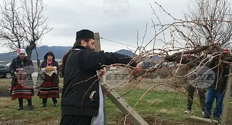 Снимка: БТА Снимка: БТА