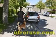 Швейцария арестува румънци, ограбващи туристи