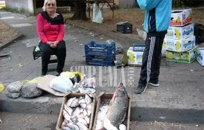 10-килограмов шаран зарадва перничани, уловили го в Гърция 10-килограмов шаран зарадва перничани, уловили го в Гърция