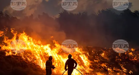 Снимка: БТА