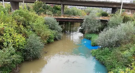 Четири фирми заподозрени за редовното оцветяване на Лома