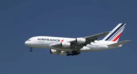 Задържаха под стража пътник от самолета на &bdquo;Ер Франс&ldquo; 