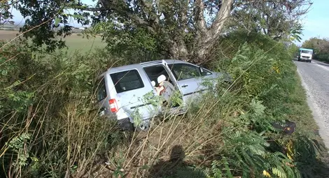Украинци паднаха с ван в храсталаци до Пиргово
