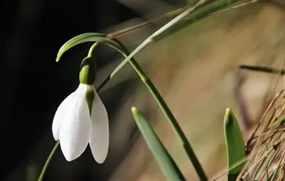 Най-ниските температури през март достигат минус 8 градуса, а най-високите - 25 градуса