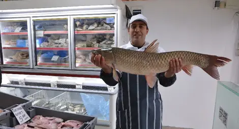Риба за всеки вкус и за всеки джоб в магазин &bdquo;Дунав&ldquo; за Никулден