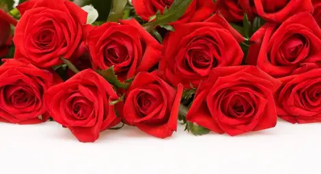 Днес празнуват всички, чиито имена значат "добра дума" и "живот"