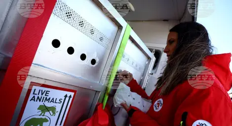 Снимка: БТА Снимка: БТА