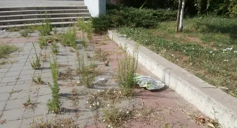 Треволяци постепенно превземат  площада пред спортната зала