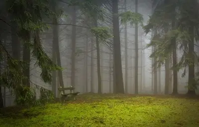 Мъгливо и до 15 градуса в понеделник