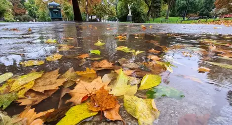 И днес валежите ще са интензивни, 13 области с оранжев код