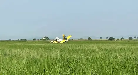 Ято птици пресече пътя на самолет и погуби опитен пилот от Русе Ято птици пресече пътя на самолет и погуби опитен пилот от Русе