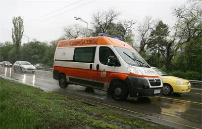 Пореден кошмар - кон ритна дете и го уби