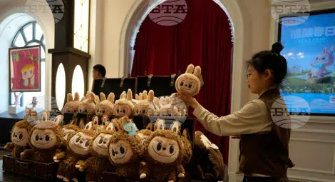 Снимка: БТА Снимка: БТА