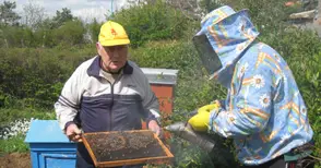 10 милиона си разпределят пчеларите до 2016 година