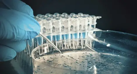 Учени създават "по-безопасни" генетично модифицирани организми