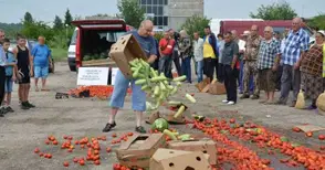 Протест свали цената на кило домати до стотинка