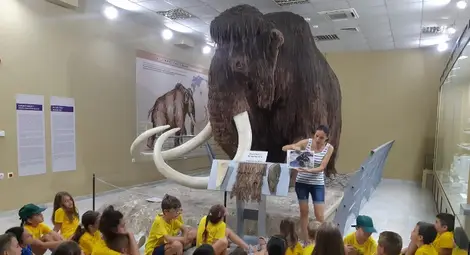 Близо 100 000 посетители в обектите на музея през 2024 година - с над 5000 повече от 2023-а