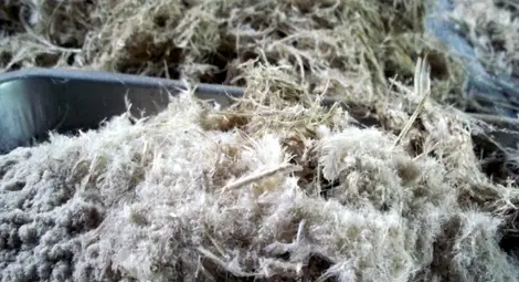 &bdquo;Анипро&ldquo; увеличава в пъти  преработката на птичи пера