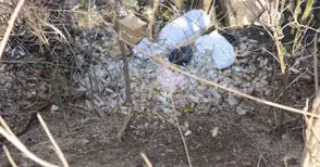 Работници омазаха с боза пътека край хижа „Приста“