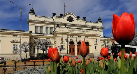 &bdquo;Маркет линкс&ldquo;: От първа политическа сила ИТН е вече трета