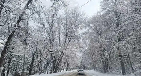 Снимка: БТА Снимка: БТА