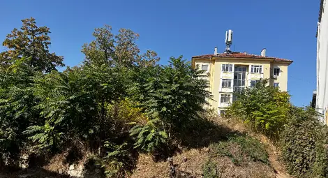 В следващия мандат ПП &bdquo;Движение Гергьовден&ldquo; ще работи за възстановяване  в автентичен вид сградата на някогашния хотел &ldquo;Ислях хане&rdquo; на ул. &bdquo;Княжеска&ldquo;