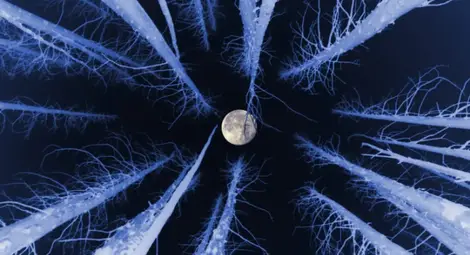 Чака ни пълнолуние на Коледа