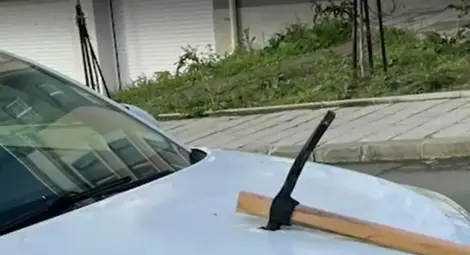 Снимка: https://niebg.net