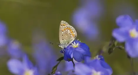 Слънце и около 30&deg; ни очакват в края на работната седмица