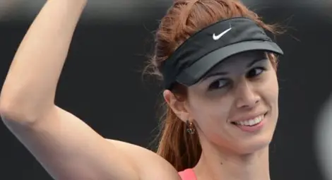 Цвети пак бие, влезе в основанта схема