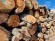 Застой в търсенето на дърва за огрев отчитат от Югоизточното държавно предприятие в Сливен