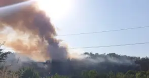 Искра от локомотив подпали 100 дка сухи треви и борова гора близо до дом „Приста“