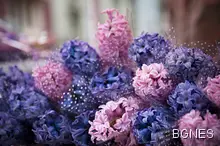 8 март - Ден на жената