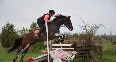 Два русенски медала на първия от серията домакински турнири по всестранна езда