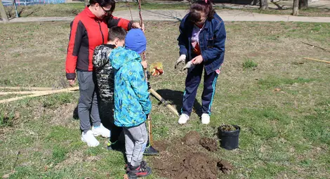 Русенци засадиха млади дръвчета в кв. &ldquo;Дружба 1&rdquo;