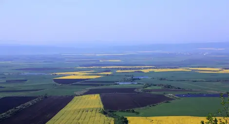 Непотърсени милиони на собственици на земи отлежават в държавни и общински сметки