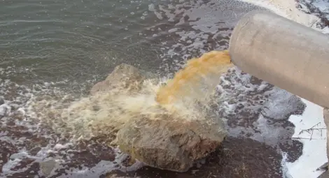 Заводът за хлебна мая плаща четири глоби за замърсяване на Дунав