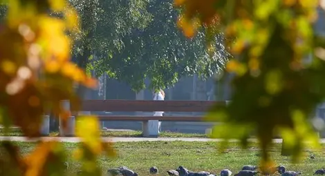 Слънчево време и до 14 градуса ни чакат днес