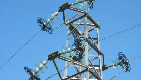 &bdquo;ЕРП Север&ldquo; монтира 635 птицезащитни  средства по електрическите стълбове