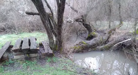 Снимка: Пресцентър Снимка: Пресцентър