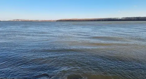 Силно разложен труп на жена изплува от Дунав край Ряхово