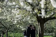 С ясно и слънчево време започва новата седмица