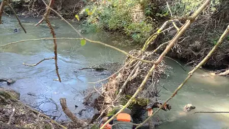 Почистиха коритото на река Черни Лом край село Пепелина&nbsp;от паднали дървета и клони