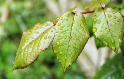 Типично пролетно остава времето до края на седмицата
