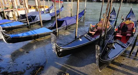 Пресъхнаха каналите във Венеция